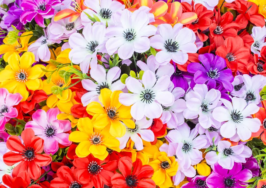 Por qué las flores tienen distintos colores?