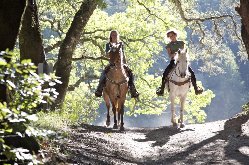 Dos mujeres pasean por el bosque montadas a caballo