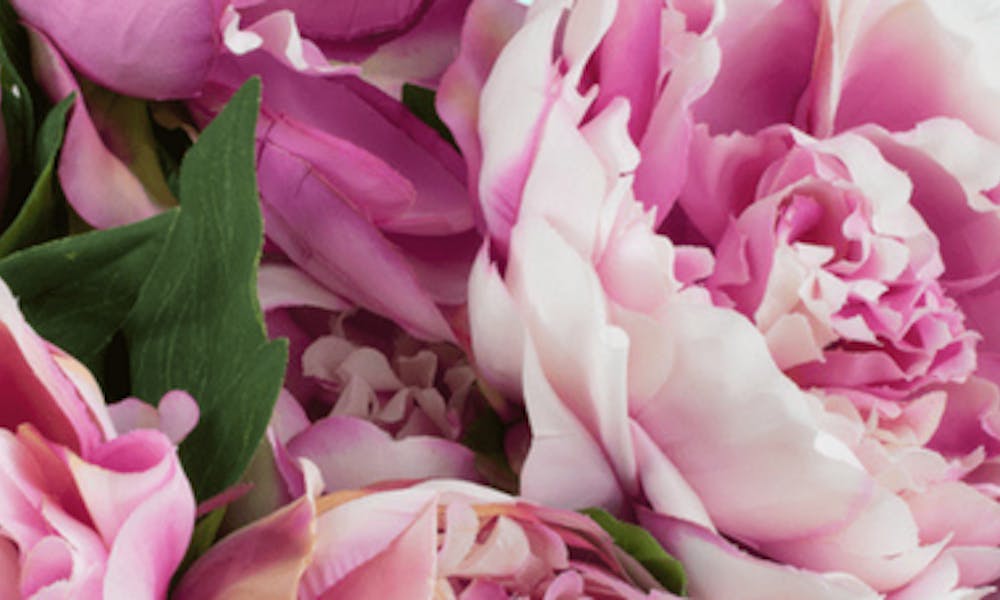Floriografía: el lenguaje oculto en un ramo de flores