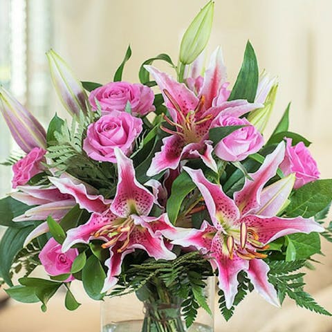 ¿Cómo hacer que tus flores se abran más rápido?