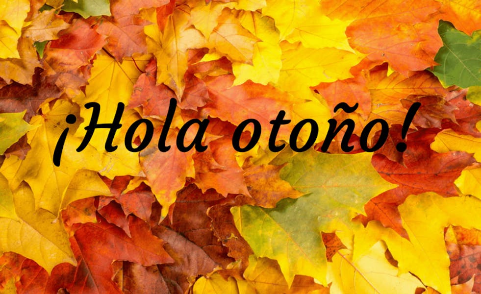 7 razones para amar el otoño