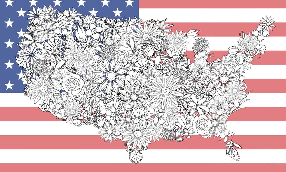 ¿Qué flores enviar a Estados Unidos? La flor de cada estado