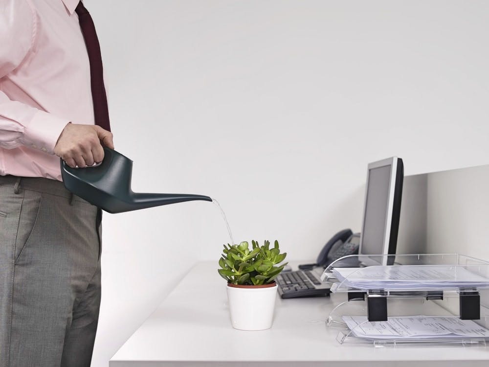 Un hombre con corbata riega una planta situada en la mesa de su oficina