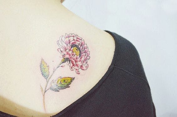 Tatuaje de un crisantemo rosa en la clavícula