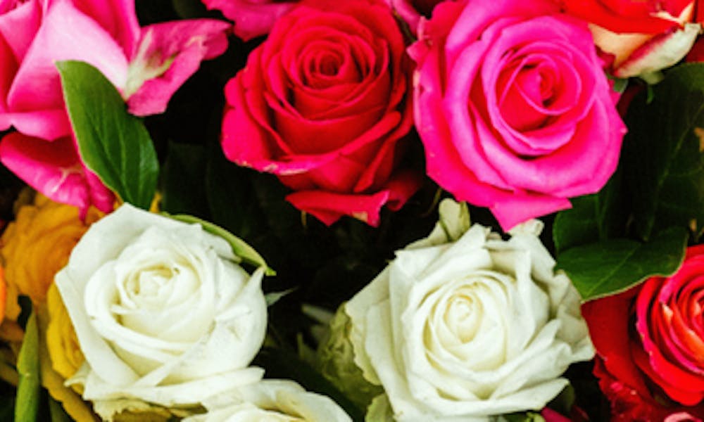 ¿Qué significan las rosas según su color?