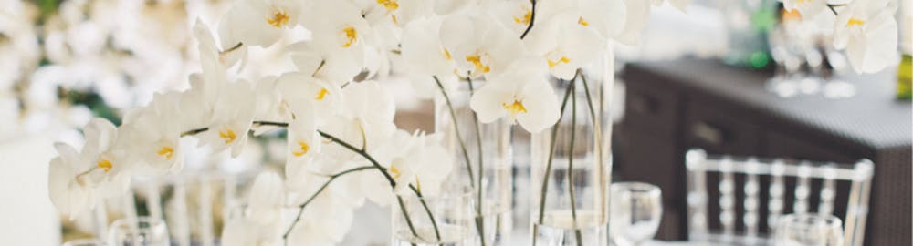 Orquídeas blancas para una boda de ensueño