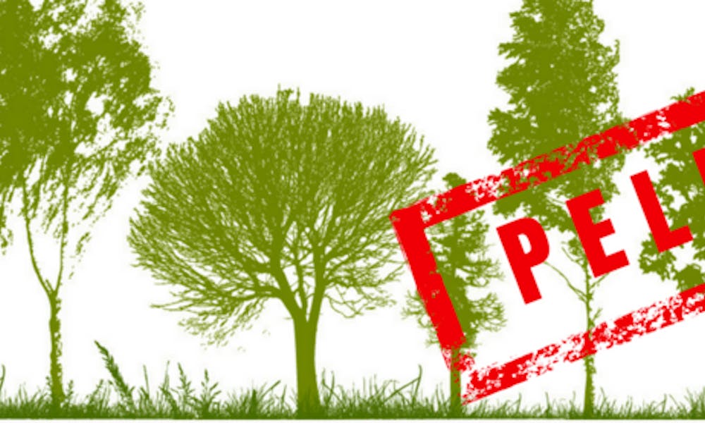 Ranking de los árboles y arbustos más mortales del mundo