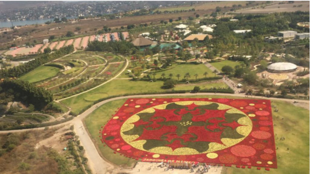 alfombra floral