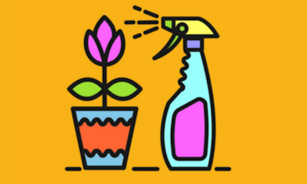 Las plagas más temidas y cómo acabar con ellas