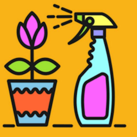 Las plagas más temidas y cómo acabar con ellas