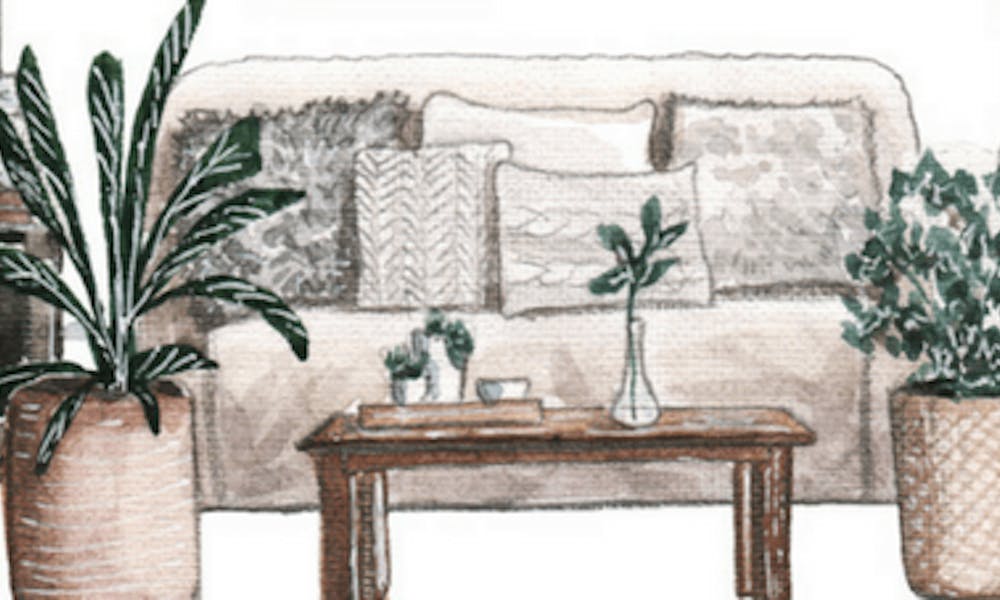 Lo último en decoración: ¡fibras vegetales!