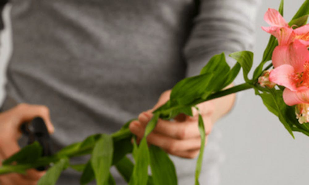 8 consejos para mantener tus flores frescas más tiempo