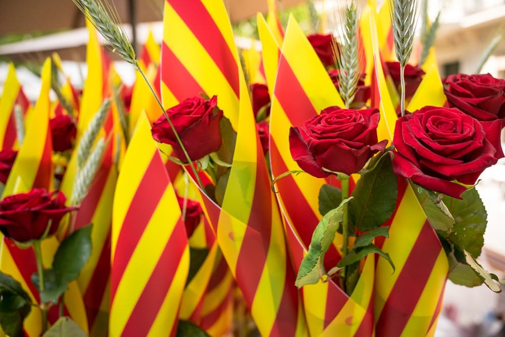 Rosas Sant Jordi