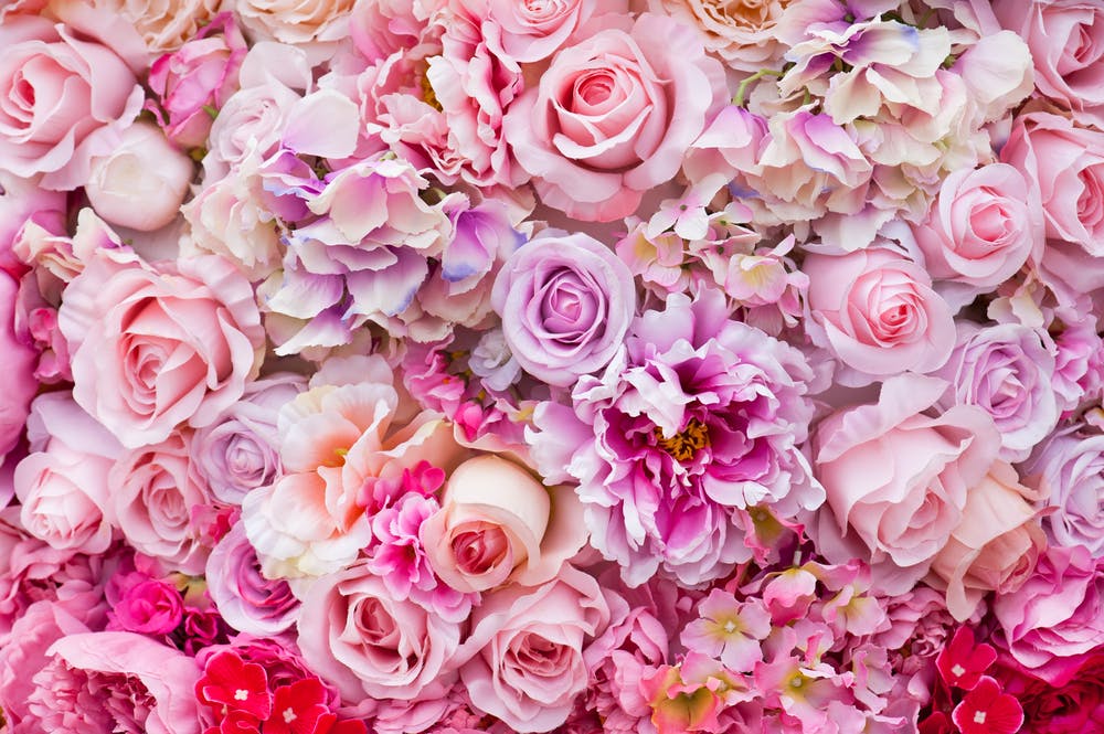 fleurs roses