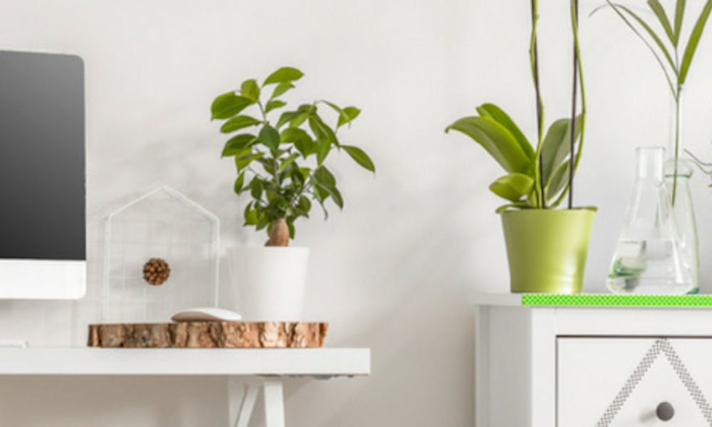 Ideas de decoración para llenar tu casa de primavera