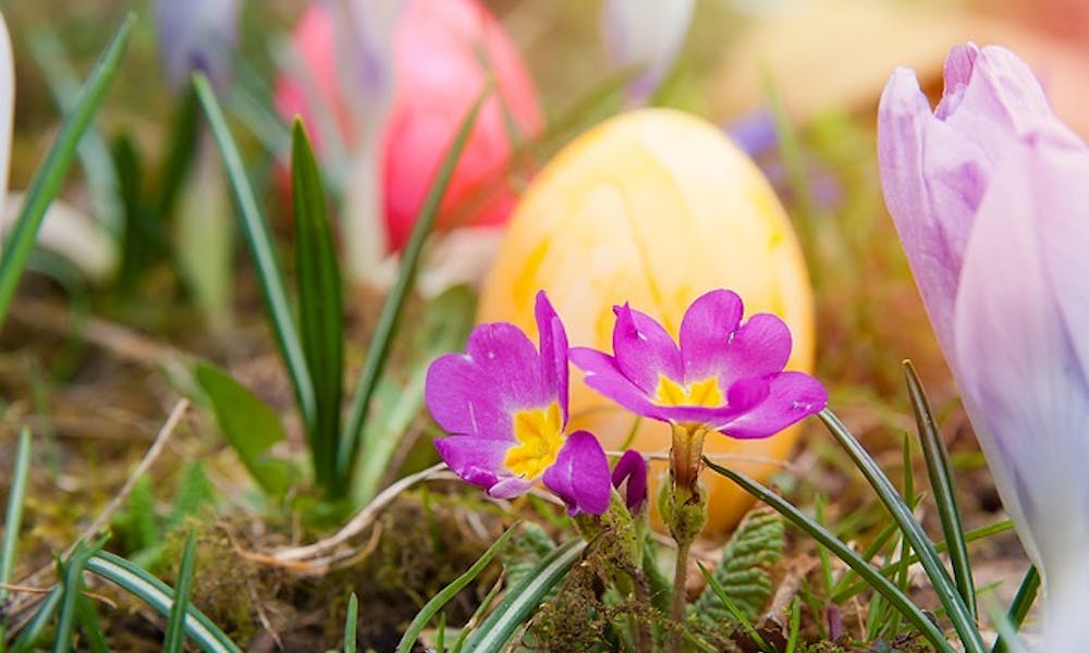 Les symboles des fêtes de Pâques