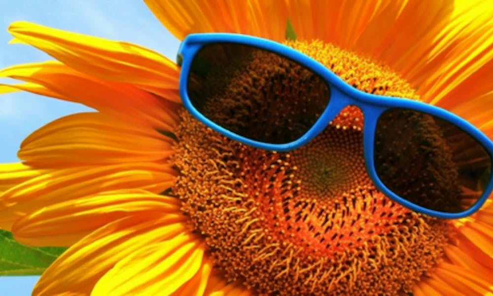 FLOR DEL MES: EN JUNIO, LOS GIRASOLES