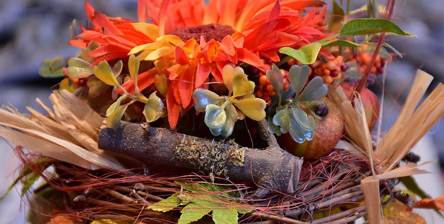 Bonitas flores de otoño