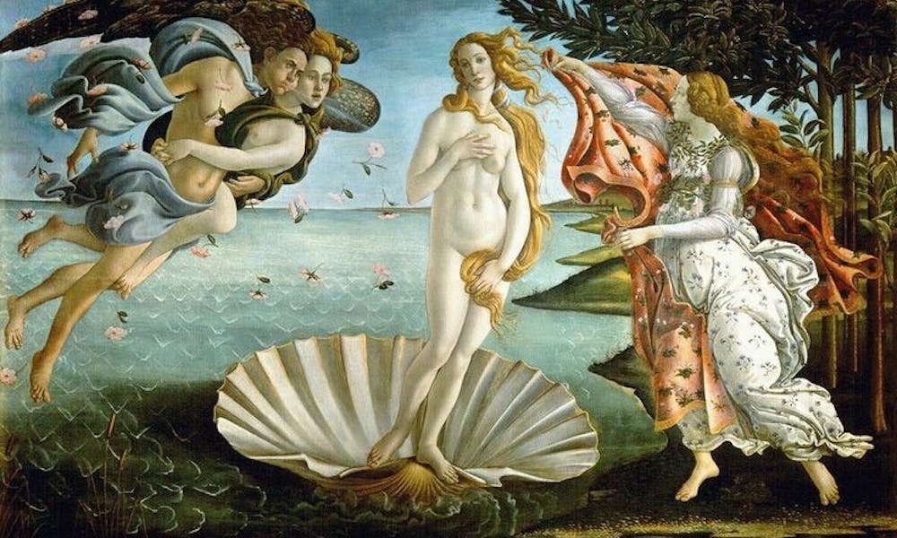 La rosa, la reina de las flores