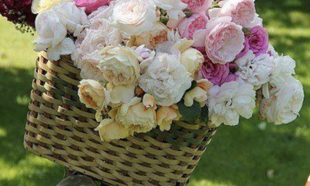 Engalana tu vida con flores de verano