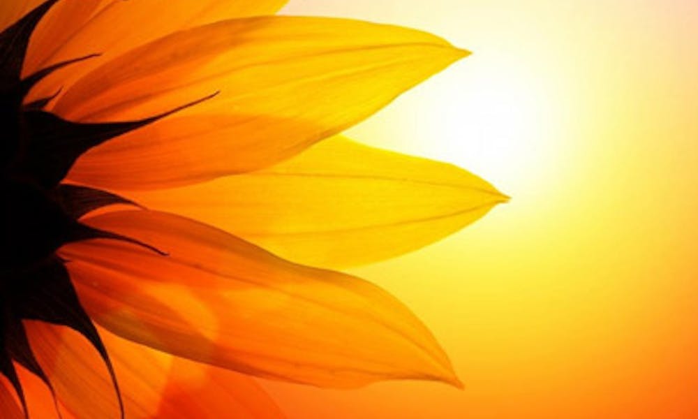 El solsticio de verano y las flores: una antigua tradición