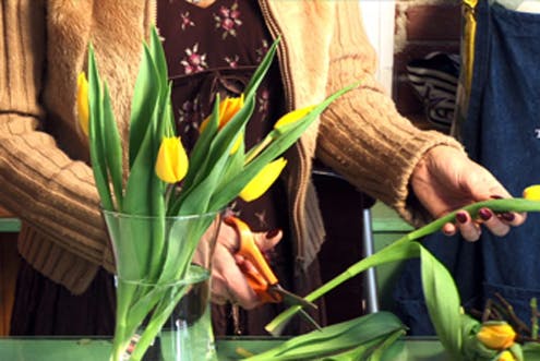 Cuidado de las flores