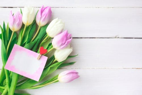 tulips and card