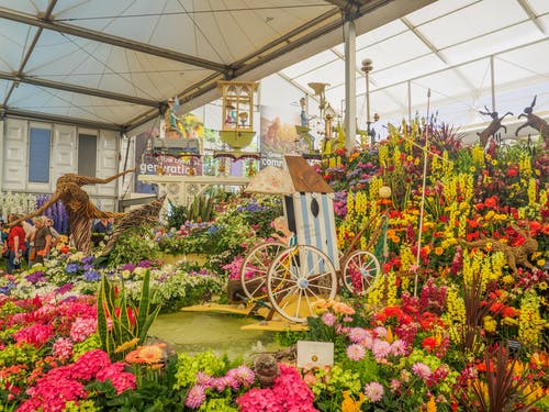 Chelsea flower show display