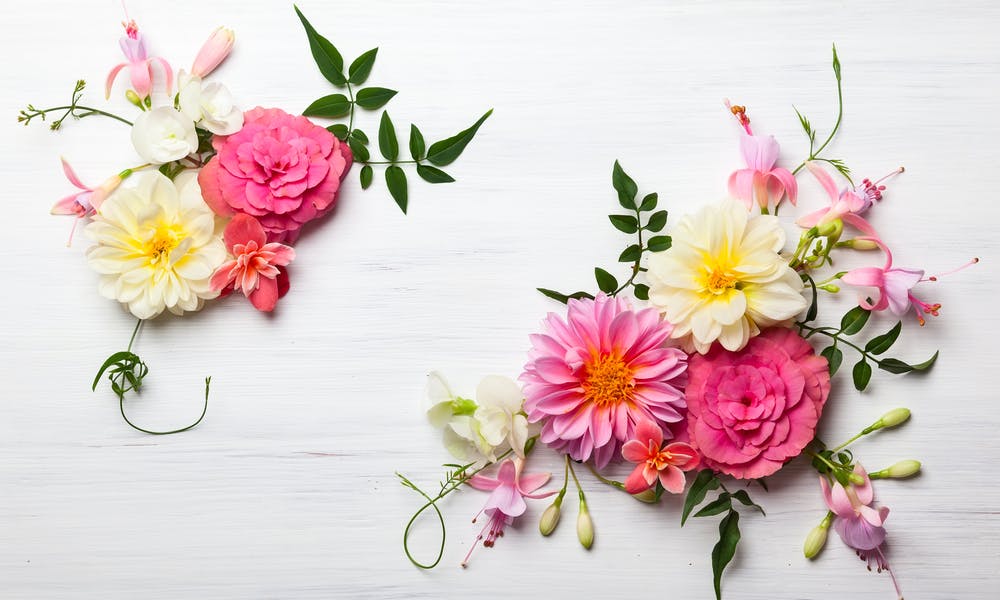 Nombre de fleurs et signification du nombre de fleurs