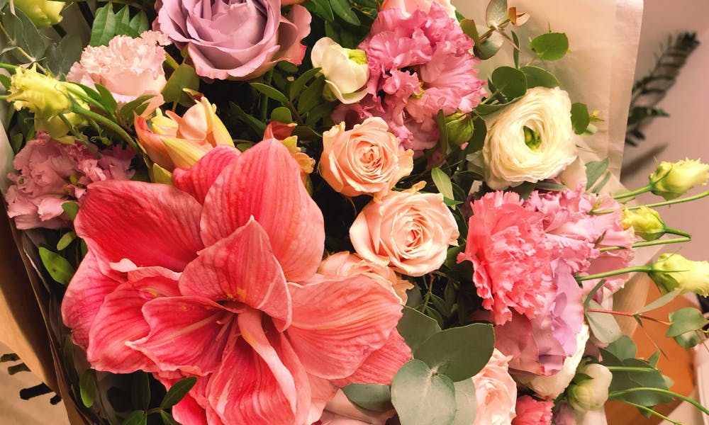 Les meilleurs de vos fleurs sur un budget :
