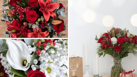 Les festivités de décembre avec la Collection de Noël de FloraQueen