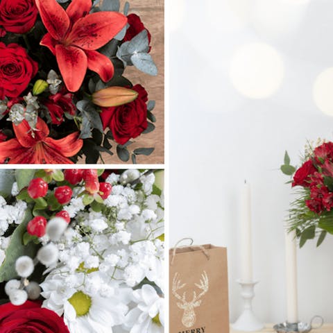 Les festivités de décembre avec la Collection de Noël de FloraQueen