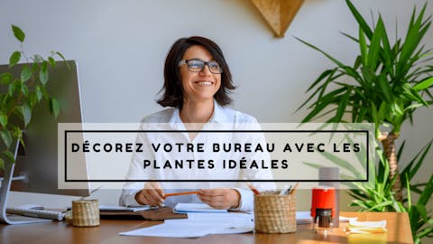 Décorez votre bureau avec les plantes idéales