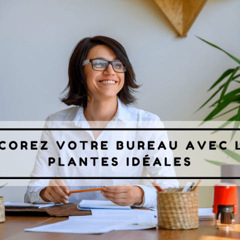 Décorez votre bureau avec les plantes idéales
