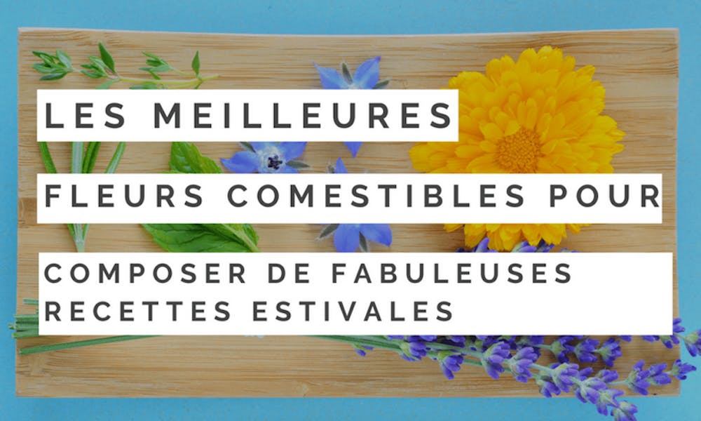 Les meilleures fleurs comestibles pour composer de fabuleuses recettes estivales
