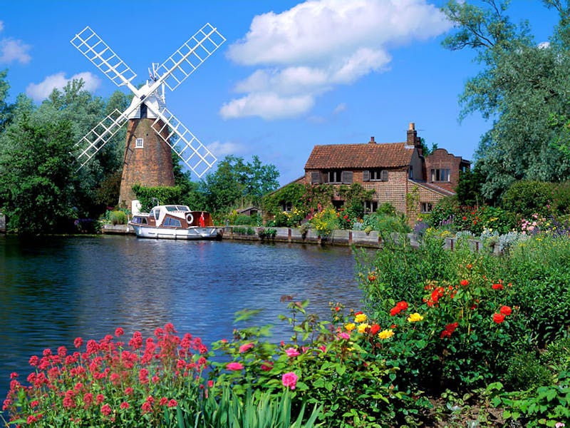 Fleurs du Monde: l’Angleterre