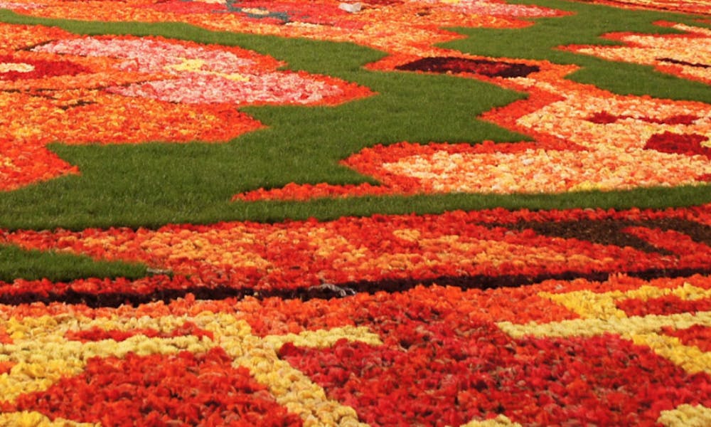 Fleurs du Monde: Belgique