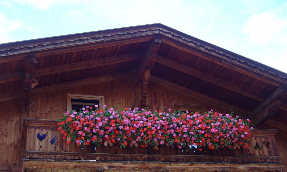 Fleurs du Monde: Autriche