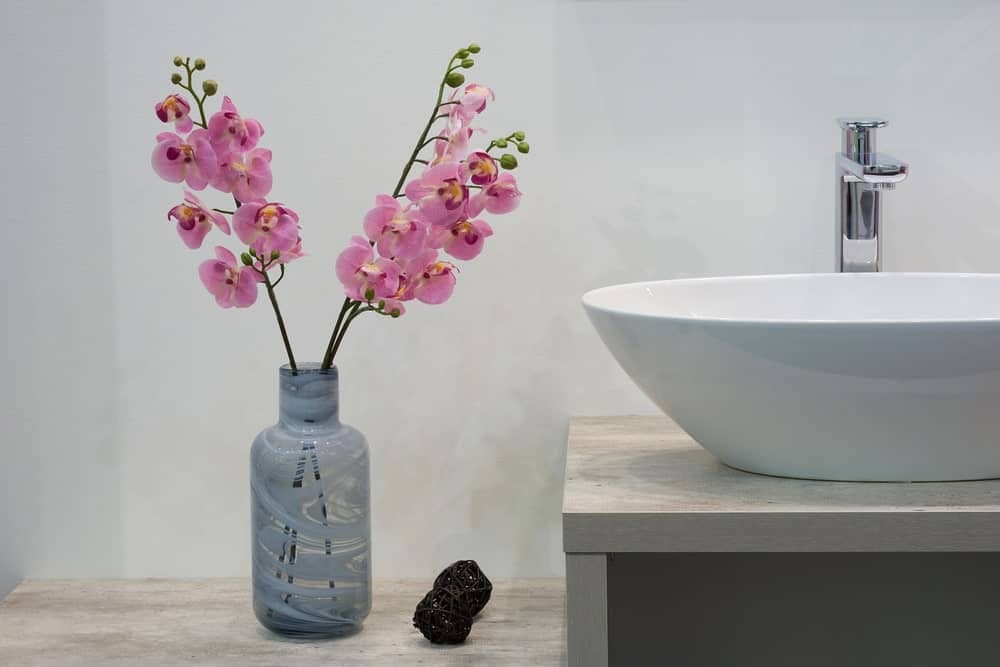 Wie man die besten Pflanzen und Blumen für die Dekoration seines Hauses auswählt