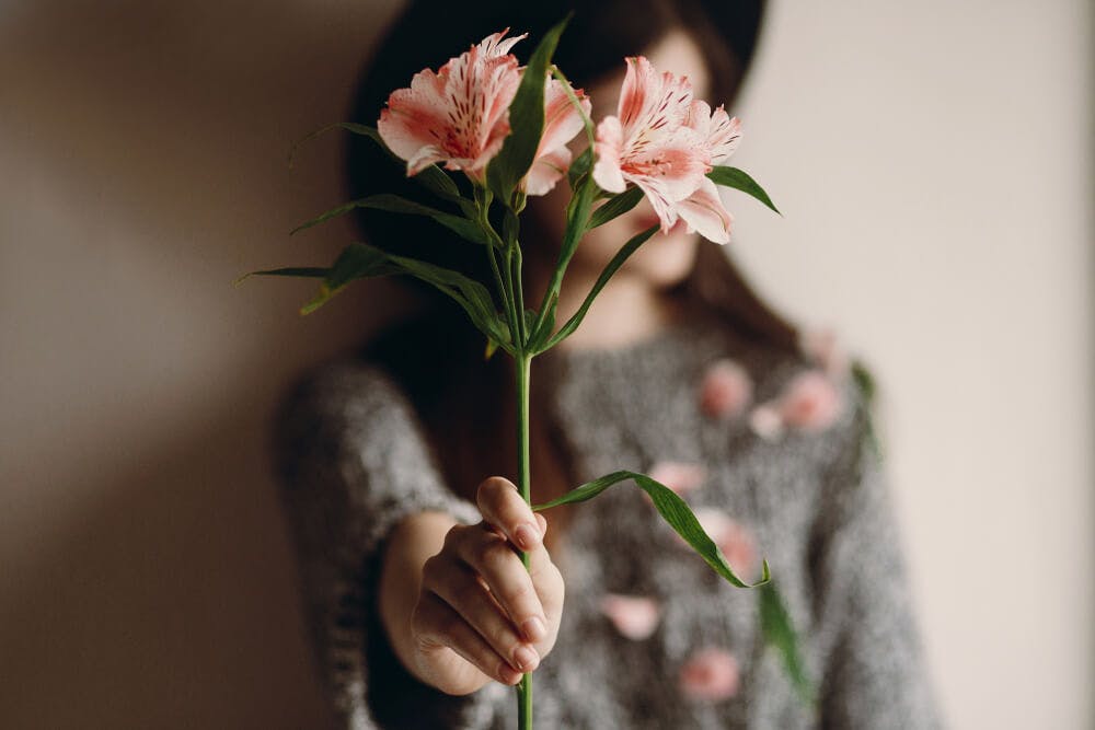 Lass dich nicht vom Winter unterkriegen: 5 Blumen, um deinen Blue Monday aufzuheitern