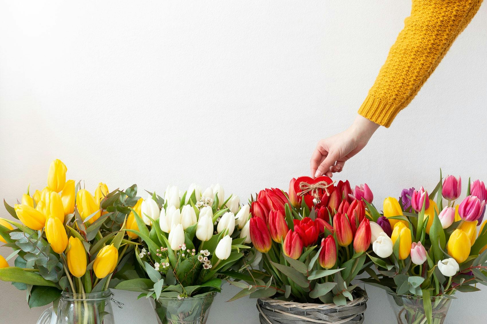 picking tulips from collection