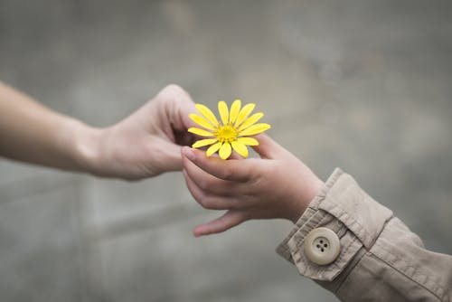 Girl handing child flower