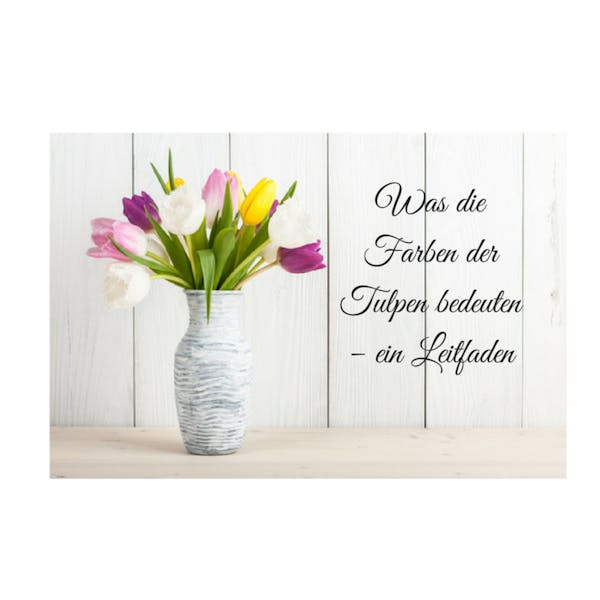 Was die Farben der Tulpen bedeuten – ein Leitfaden