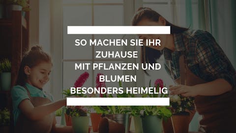 So machen Sie Ihr Zuhause mit Pflanzen und Blumen besonders heimelig