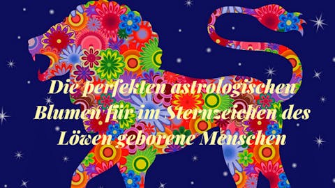 Die perfekten astrologischen Blumen für im Sternzeichen des Löwen geborene Menschen