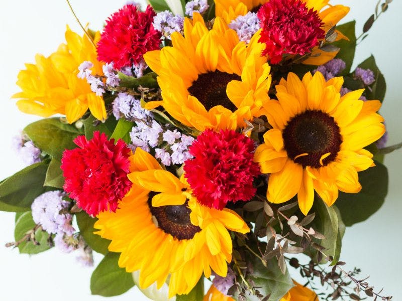 Strauß aus Sonnenblumen, roten Nelken und Meerlavendel 