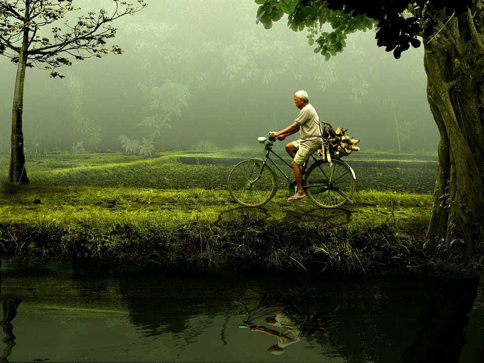 Man, Old, Bike, Nature, Green