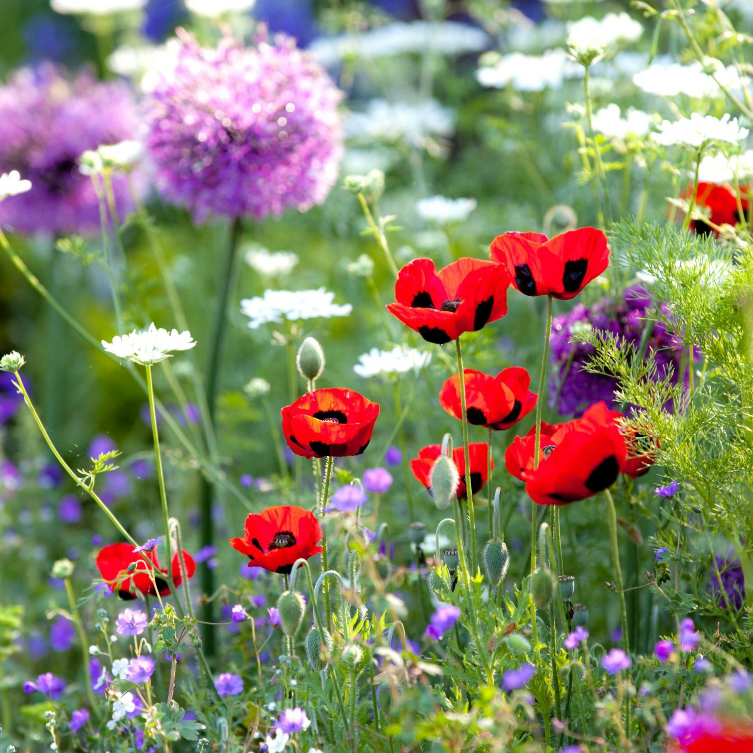 5 Style-Ideen für Ihre frischen Blumen!