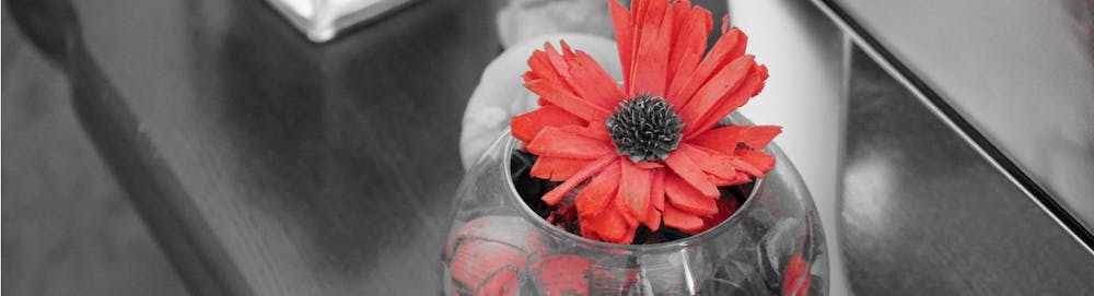 Dekoration DIY mit Gerbera