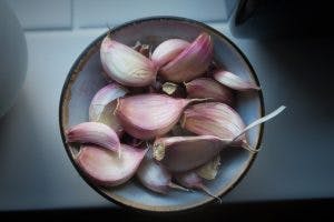 Ökologische Pflanzenschutzmittel für den Garten